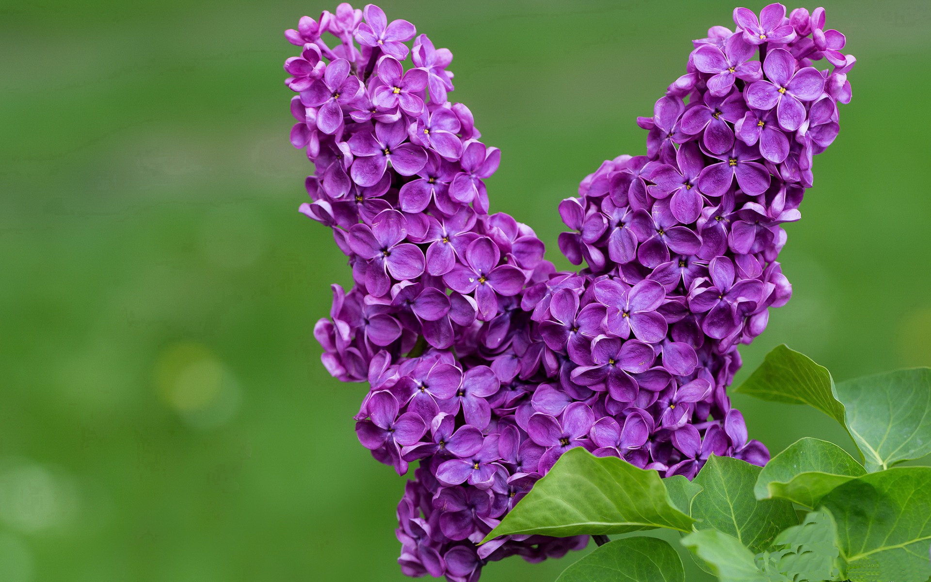 切沃客战失利,保级形势岌岌可危,切沃什么意思