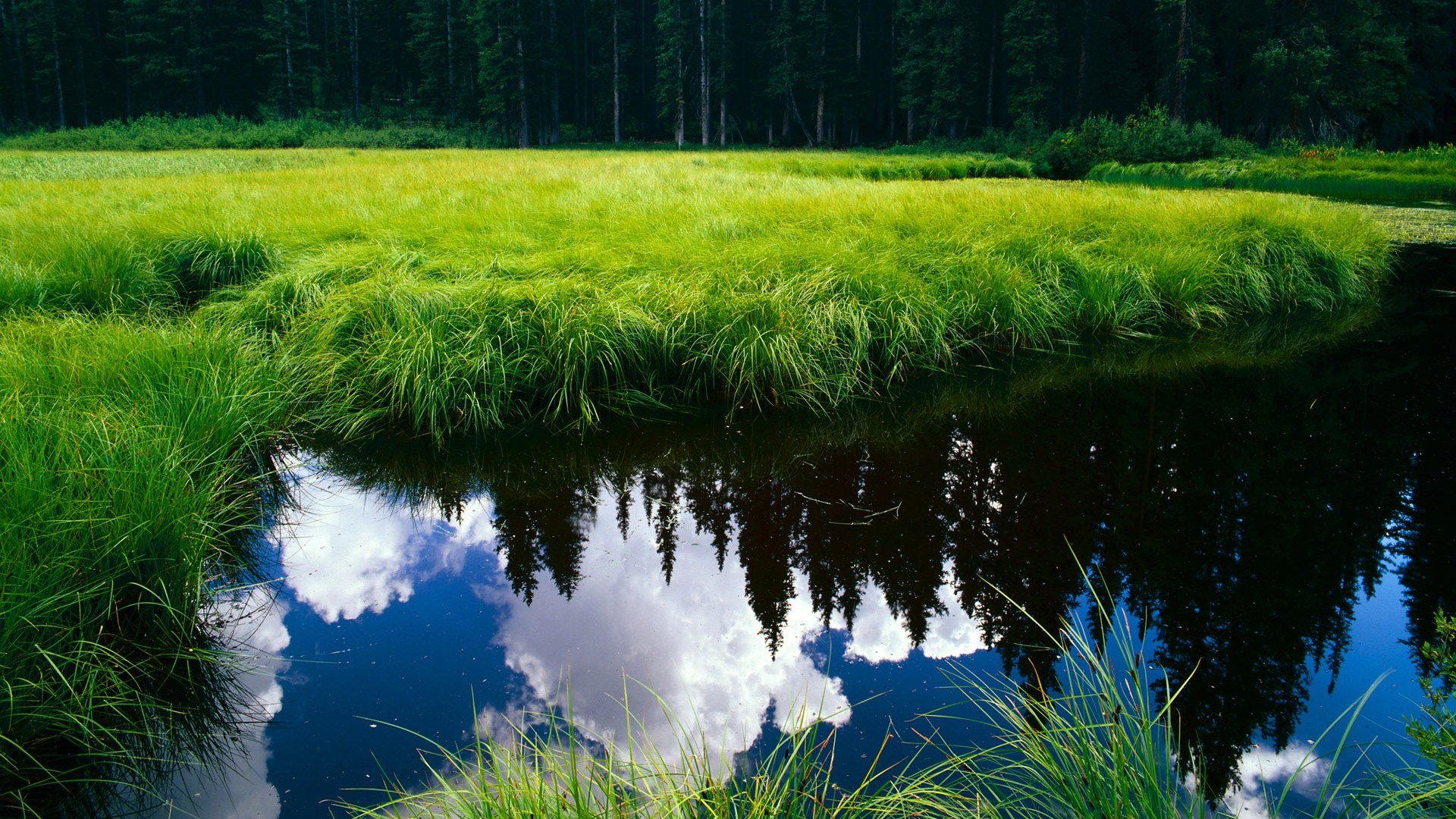 比利亚雷亚尔主场战胜马洛卡,重返胜利,比利亚雷亚尔主场战胜马洛卡,重返胜利了吗