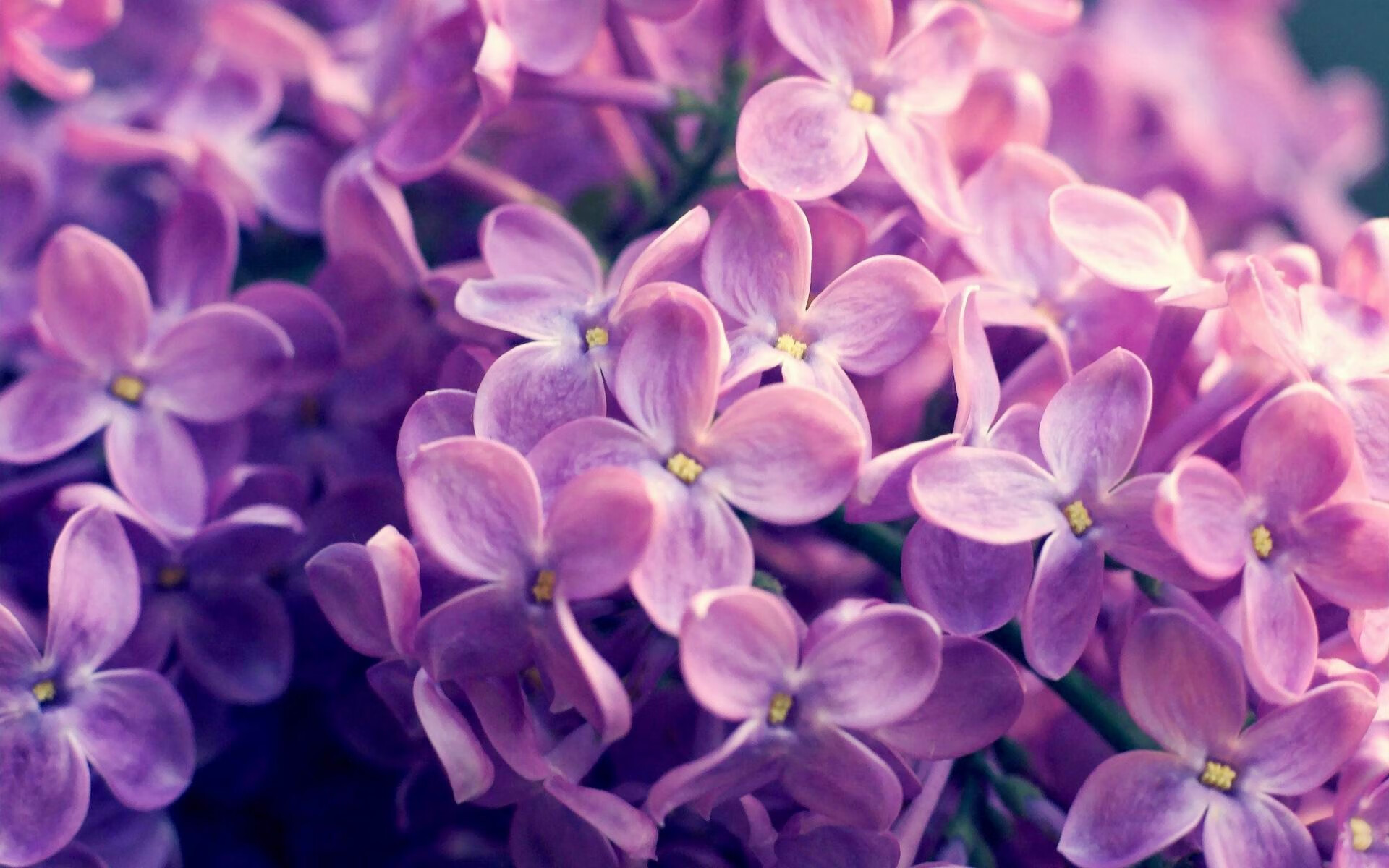 瑞典吞下苦果:对手塞尔维亚势不可挡,瑞典cejn