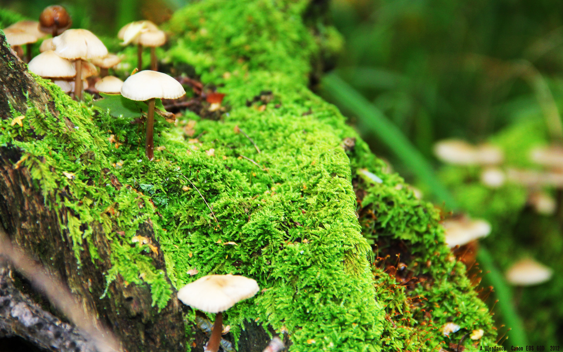 九游体育app-“缆绳滑水：东桃花岛赛场带来无限速度与挑战”