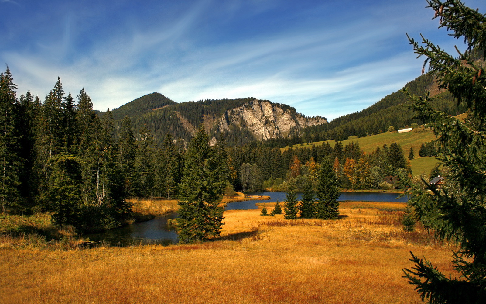 中国足球市场化程度低,中国足球市场规模