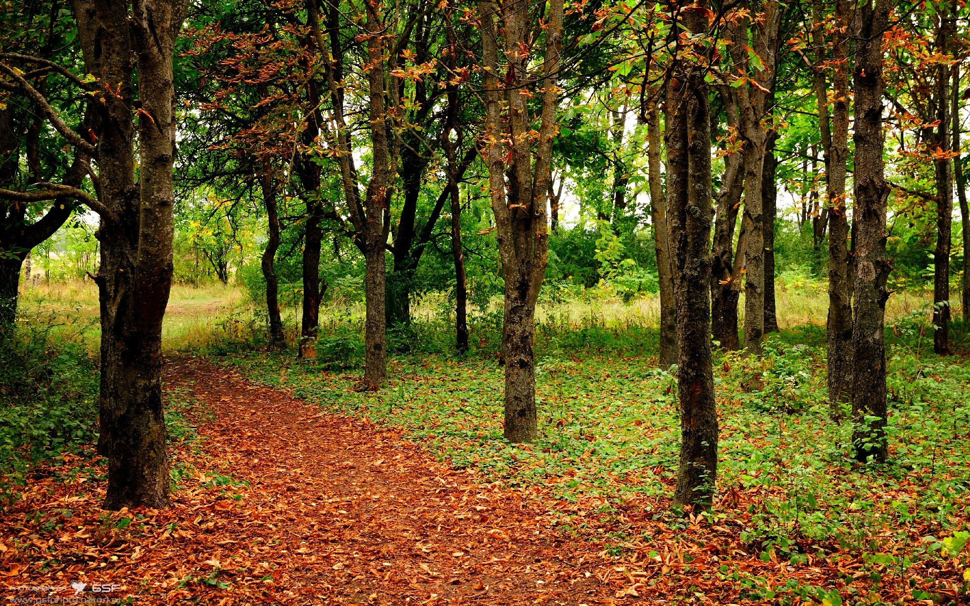 九游游戏-国际热身赛U23国足爆冷 技战术遭受质疑，6月2日国足热身
