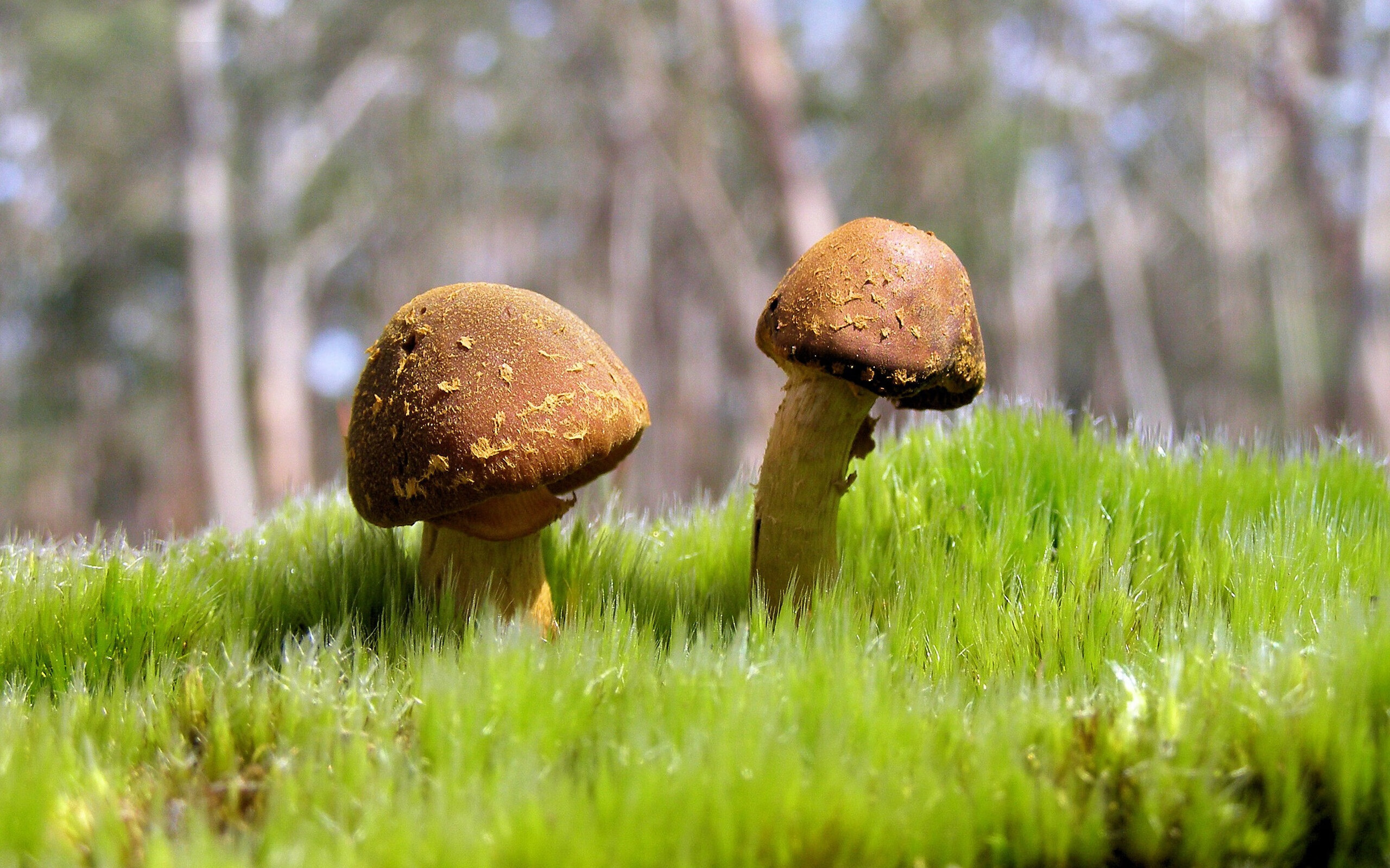 青训人才梯队留存为何缺失激励机制，青训梯队招生